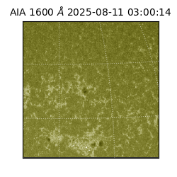 saia - 2025-08-11T03:00:14.132000