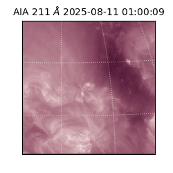 saia - 2025-08-11T01:00:09.626000