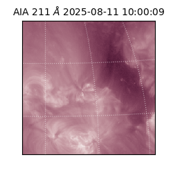 saia - 2025-08-11T10:00:09.632000