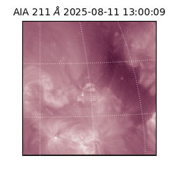 saia - 2025-08-11T13:00:09.641000