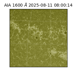 saia - 2025-08-11T08:00:14.126000