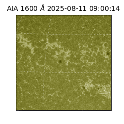 saia - 2025-08-11T09:00:14.125000