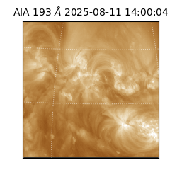saia - 2025-08-11T14:00:04.843000