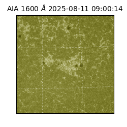 saia - 2025-08-11T09:00:14.125000
