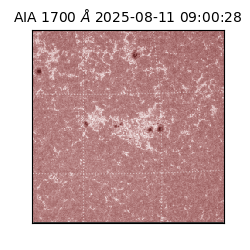 saia - 2025-08-11T09:00:28.717000