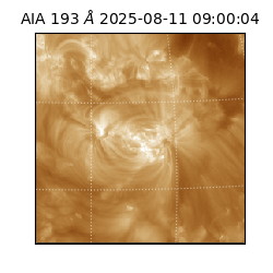 saia - 2025-08-11T09:00:04.843000