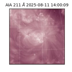 saia - 2025-08-11T14:00:09.626000