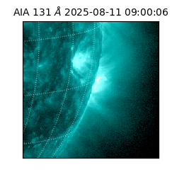 saia - 2025-08-11T09:00:06.622000