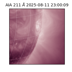 saia - 2025-08-11T23:00:09.626000