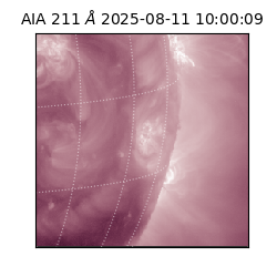saia - 2025-08-11T10:00:09.632000
