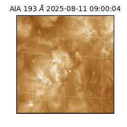 saia - 2025-08-11T09:00:04.843000
