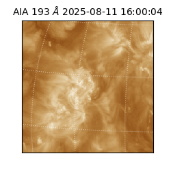 saia - 2025-08-11T16:00:04.843000