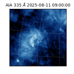 saia - 2025-08-11T09:00:00.625000