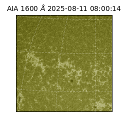saia - 2025-08-11T08:00:14.126000