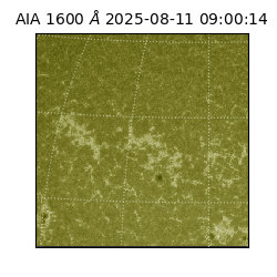 saia - 2025-08-11T09:00:14.125000