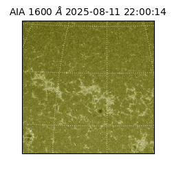 saia - 2025-08-11T22:00:14.130000