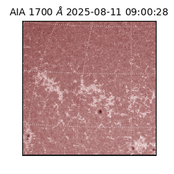 saia - 2025-08-11T09:00:28.717000