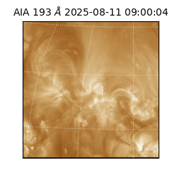 saia - 2025-08-11T09:00:04.843000