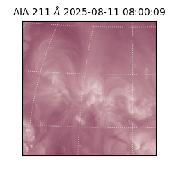 saia - 2025-08-11T08:00:09.632000