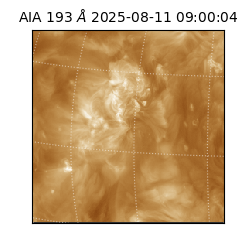 saia - 2025-08-11T09:00:04.843000