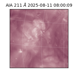 saia - 2025-08-11T08:00:09.632000