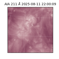 saia - 2025-08-11T22:00:09.626000