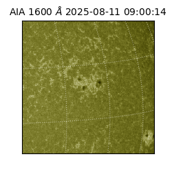 saia - 2025-08-11T09:00:14.125000
