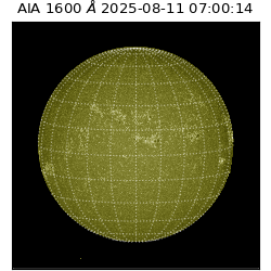 saia - 2025-08-11T07:00:14.126000