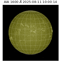 saia - 2025-08-11T10:00:14.126000