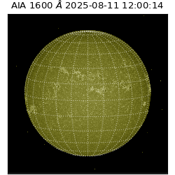 saia - 2025-08-11T12:00:14.126000