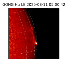 gong - 2025-08-11T05:00:42