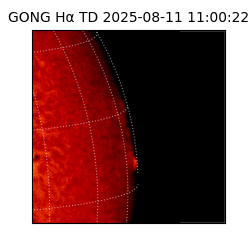 gong - 2025-08-11T11:00:22