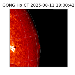 gong - 2025-08-11T19:00:42