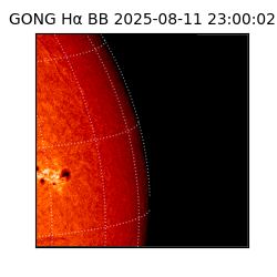 gong - 2025-08-11T23:00:02