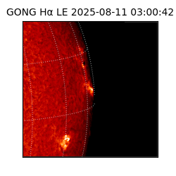 gong - 2025-08-11T03:00:42