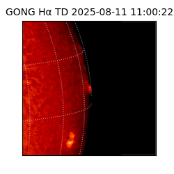 gong - 2025-08-11T11:00:22