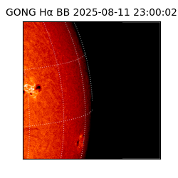 gong - 2025-08-11T23:00:02