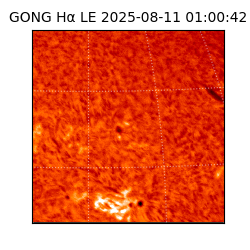 gong - 2025-08-11T01:00:42