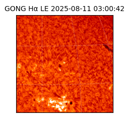 gong - 2025-08-11T03:00:42