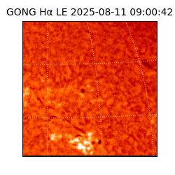 gong - 2025-08-11T09:00:42