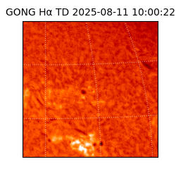 gong - 2025-08-11T10:00:22