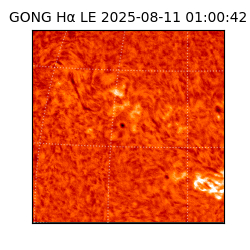 gong - 2025-08-11T01:00:42