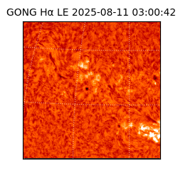 gong - 2025-08-11T03:00:42
