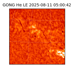 gong - 2025-08-11T05:00:42
