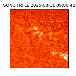 gong - 2025-08-11T09:00:42