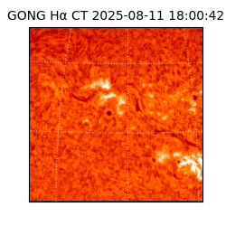 gong - 2025-08-11T18:00:42