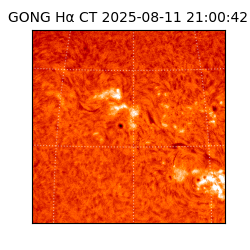 gong - 2025-08-11T21:00:42