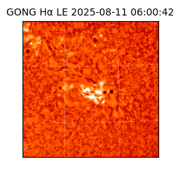 gong - 2025-08-11T06:00:42