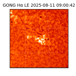 gong - 2025-08-11T09:00:42