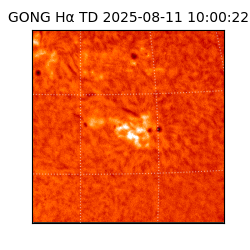 gong - 2025-08-11T10:00:22
